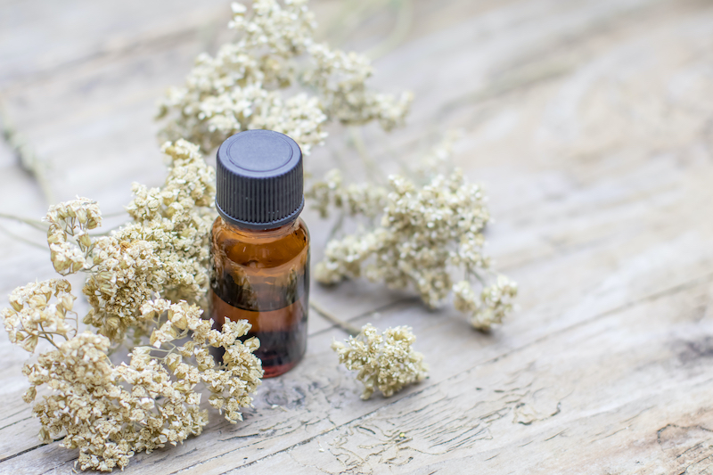 phytotherapie-nouvelle-pharmacie-comines
